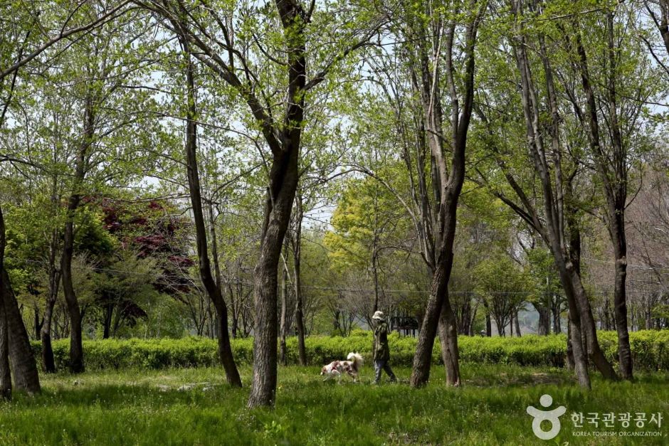 수풀로 양수리