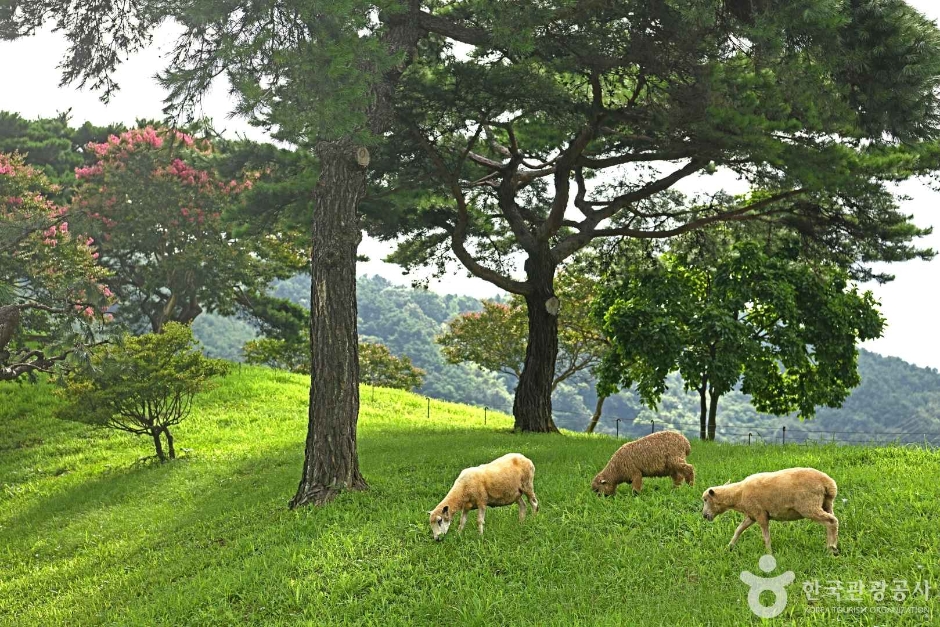 지리산호수공원