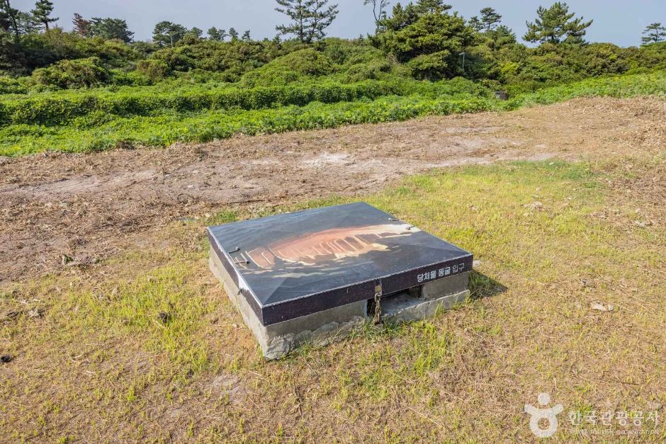 제주 당처물동굴 [유네스코 세계자연유산]