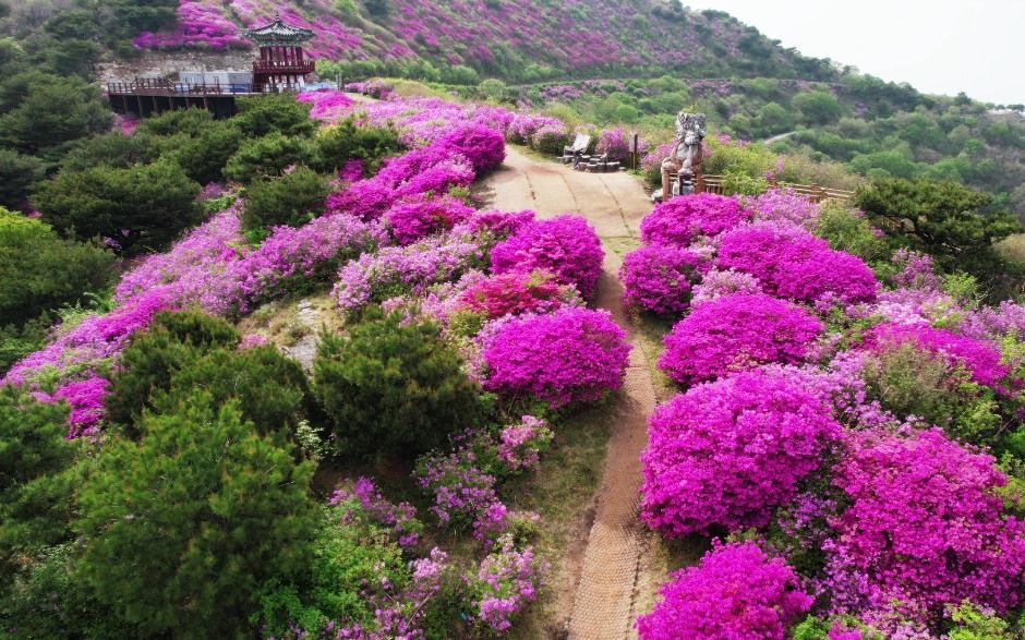 한우산