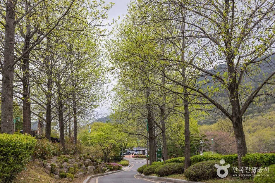 화명수목원