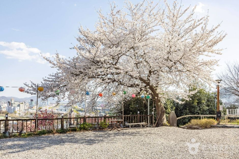 순천_흥륜사(순천) (5)