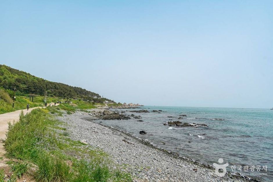 울산_해파랑길 8코스 (3)