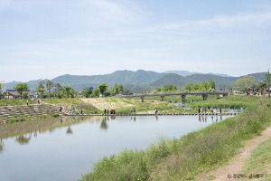경주_경주 교촌마을 (5)