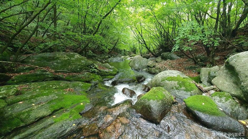 석룡산