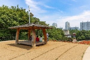 서울_올림픽공원 들꽃마루 (1)