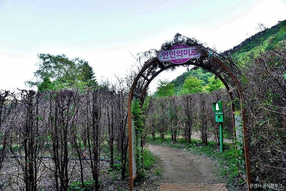 thumbnail-문경생태미로공원-11