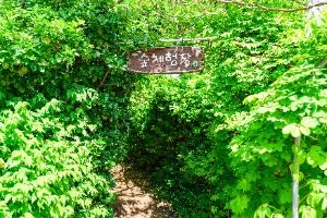 서울_서울특별시교육청 융합과학교육원 남부분원 (3)