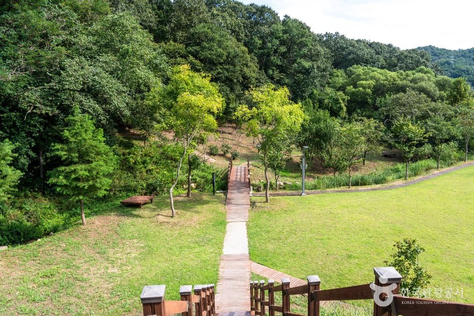 대전 치유의 숲