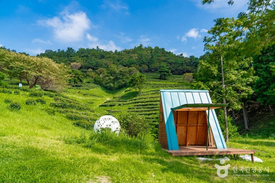 한국차문화공원