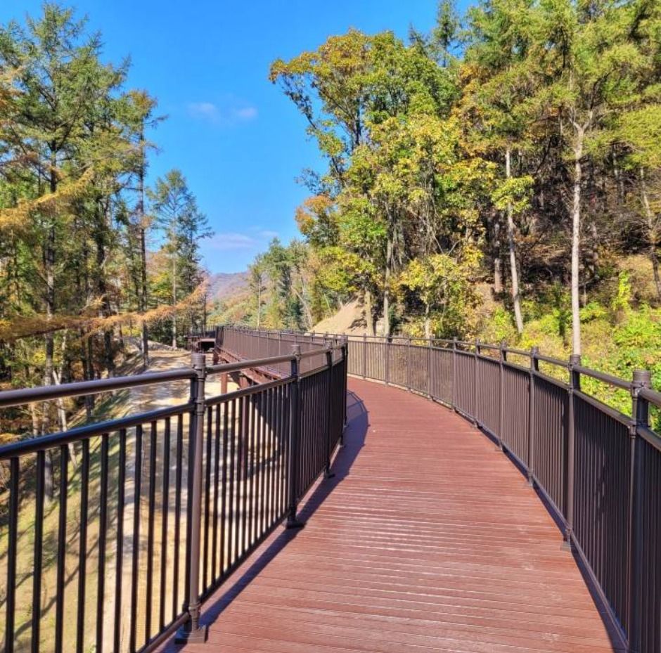 thumbnail-놀자숲-20