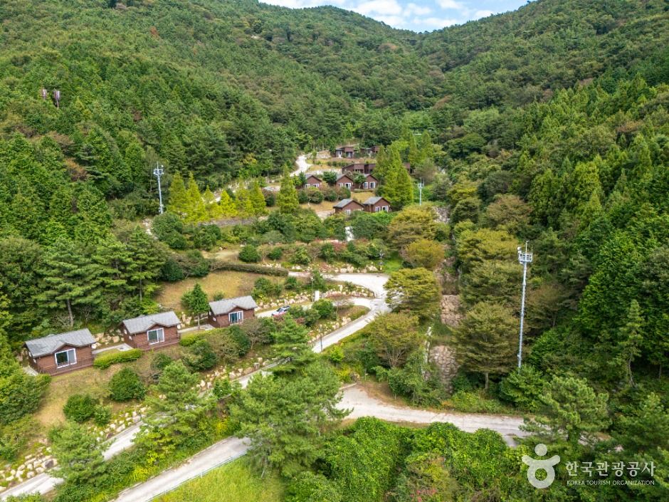 봉황산자연휴양림