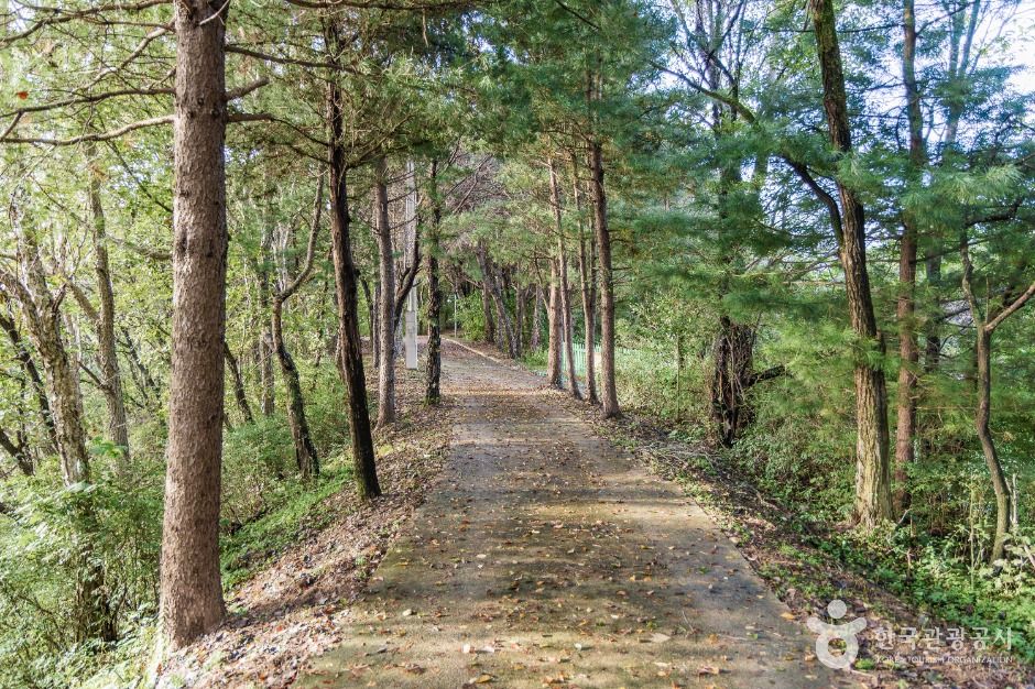 thumbnail-김화군민 망향탑-14