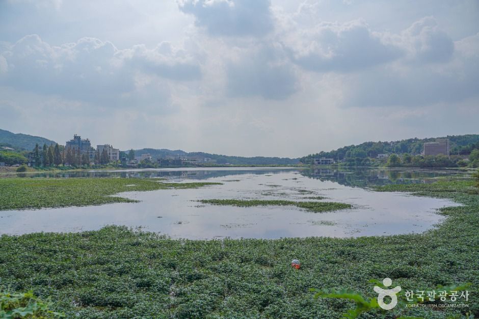 thumbnail-칠곡저수지-8