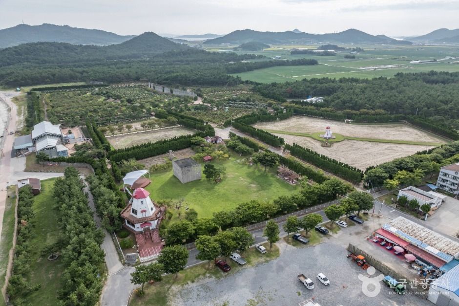 신안_임자도 (6)