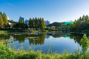 용인_동백호수공원 (4)