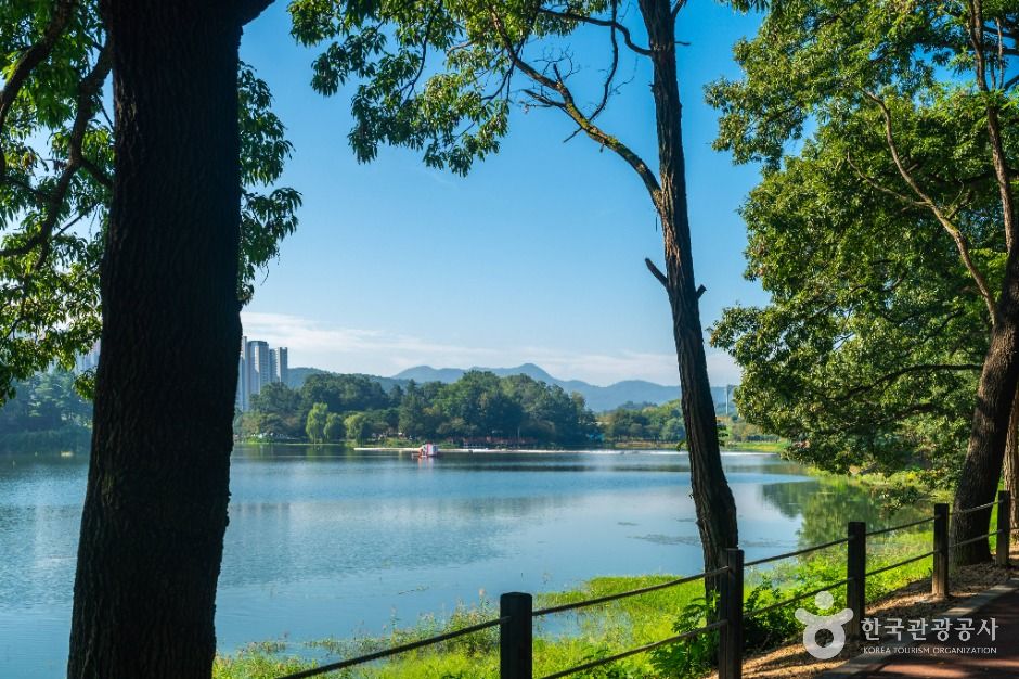 충주_호암지생태공원 (7)