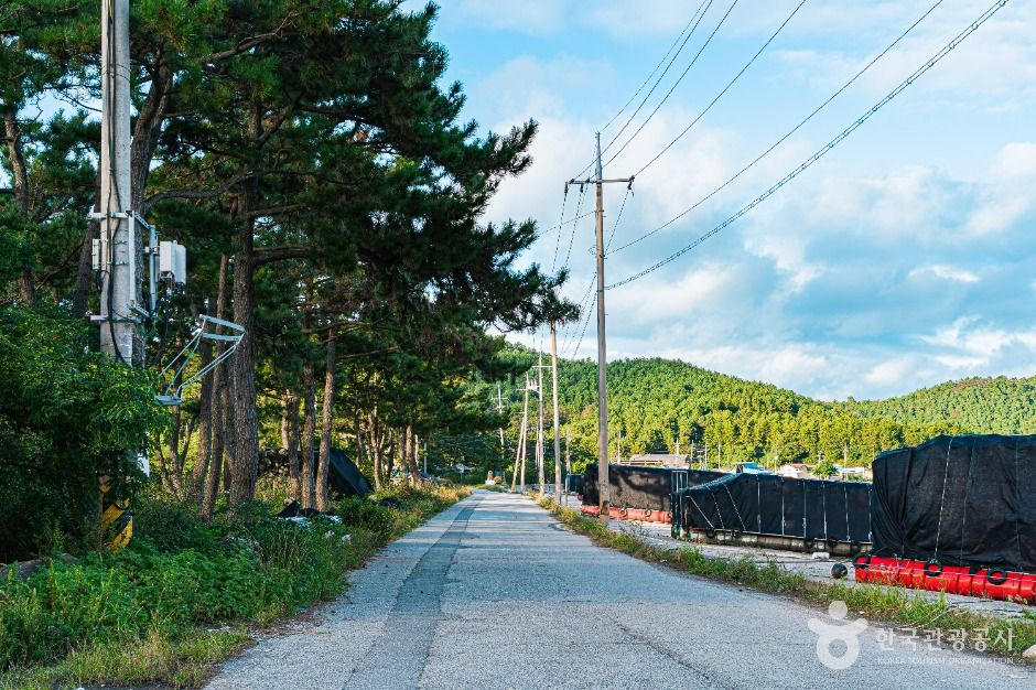 해남_송평마을 (2)