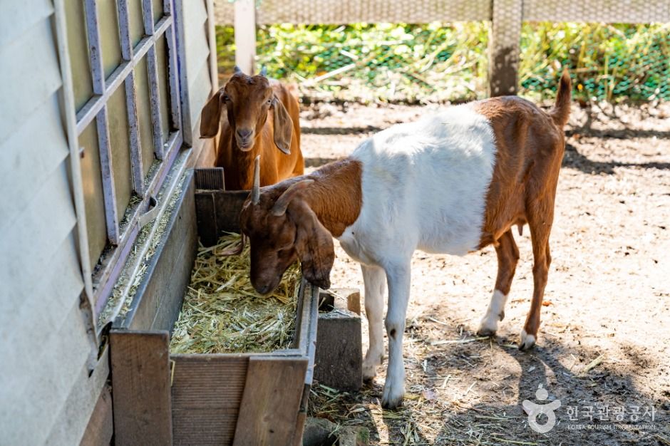 화성_드림아트스페이스 (7)