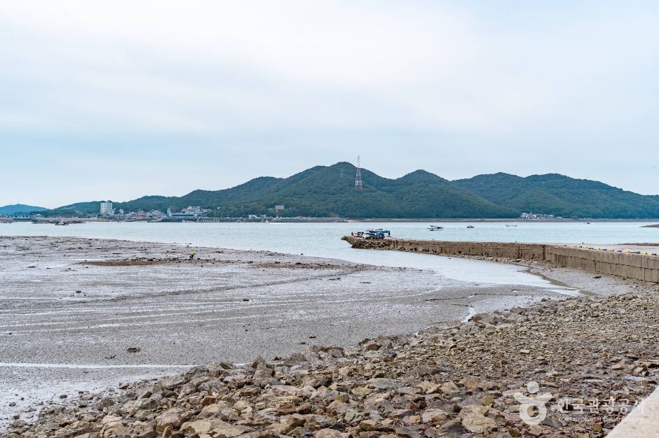 thumbnail-도비도항-1