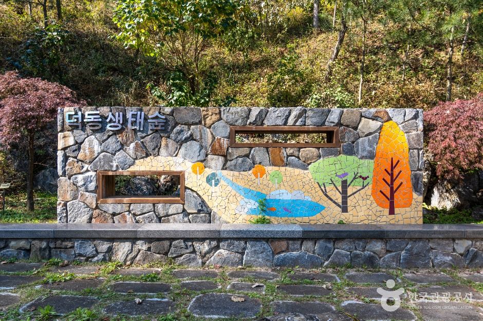 제천_덕동생태숲 (2)