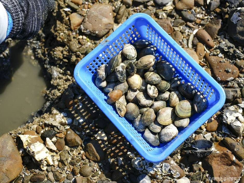 병술만어촌체험마을