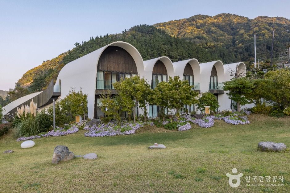 울릉_코스모스 울릉도 (10)