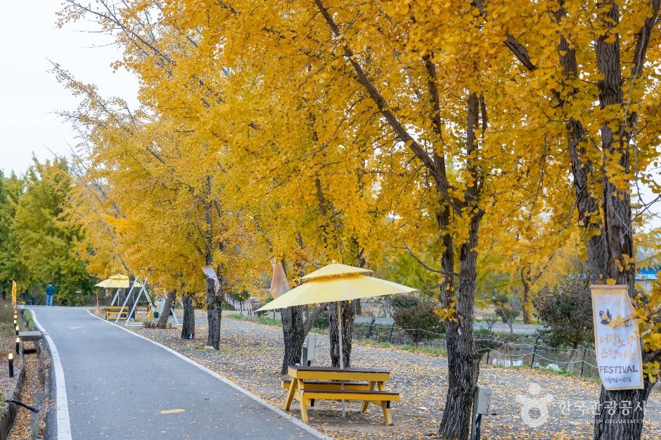 청라 은행마을 (보령)