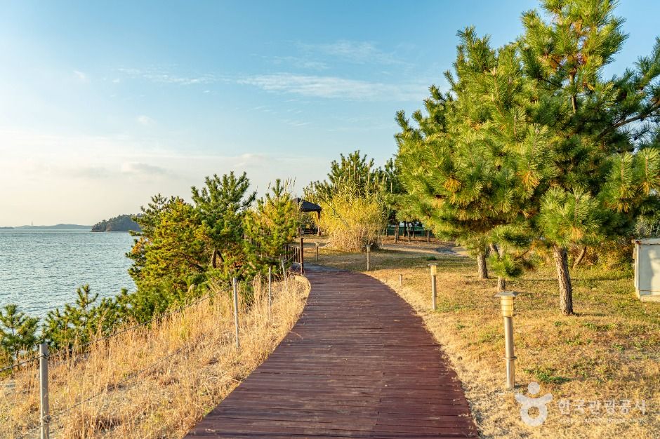 오시아노해수욕장