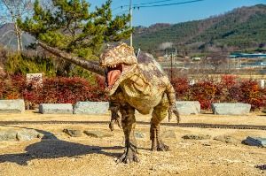 화순_서유리 공룡화석지(무등산권 국가지질공원) (10)