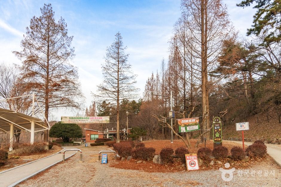 도음산 산림문화수련장