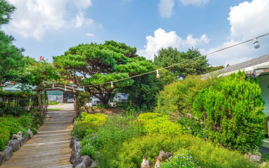 언덕위에 하얀집