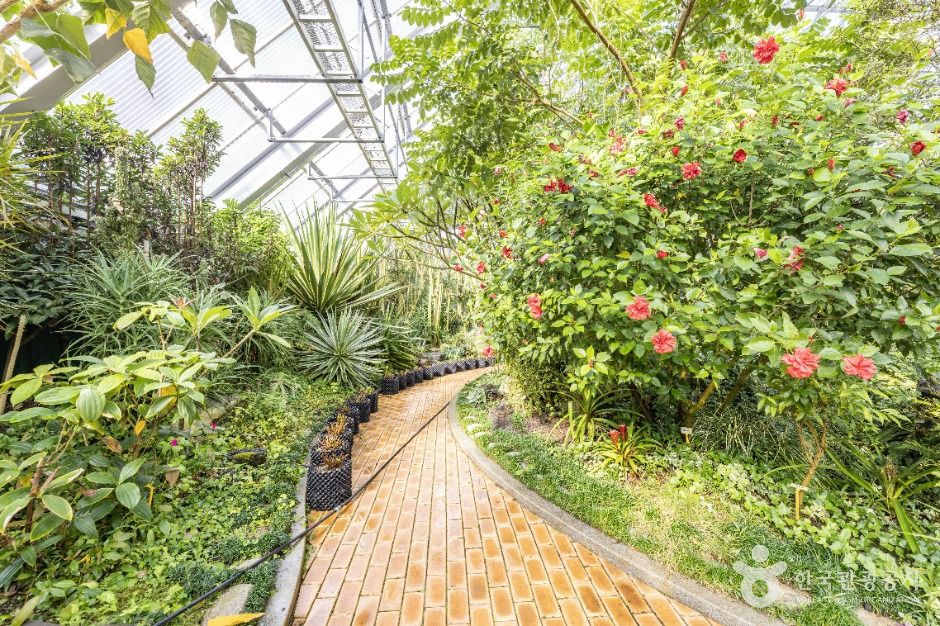 진안_고원화목원 (5)