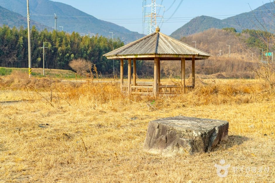 산청특리지석묘군