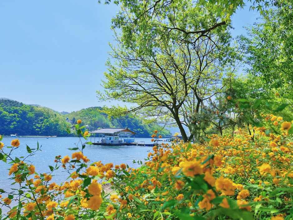 thumbnail-남이섬-46