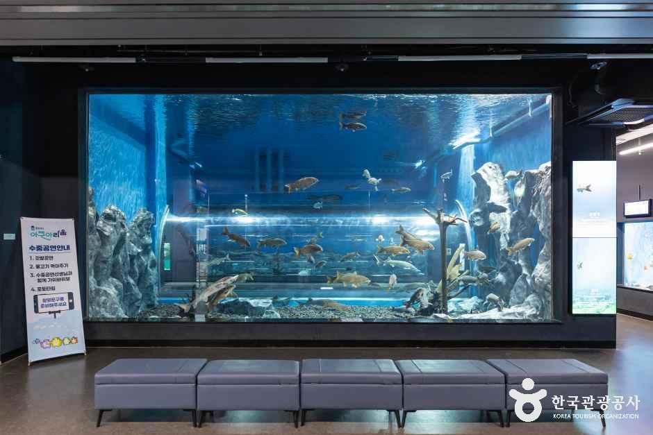 thumbnail-충북아쿠아리움-6