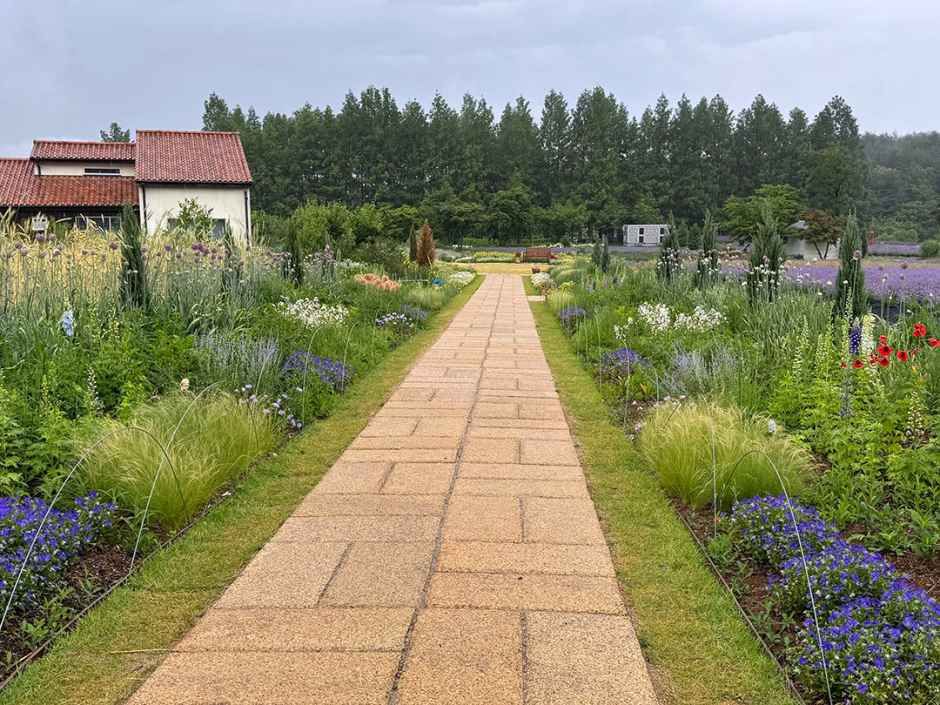 thumbnail-하늬라벤더팜-9