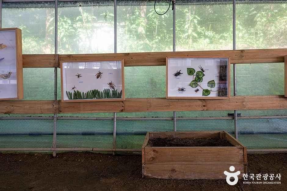 thumbnail-찬우물 체험동물농장-9