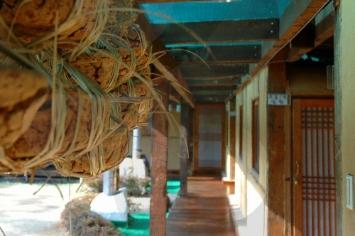 The Oriental Medicine Resort: Chorakdang (한방테마파크 초락당)