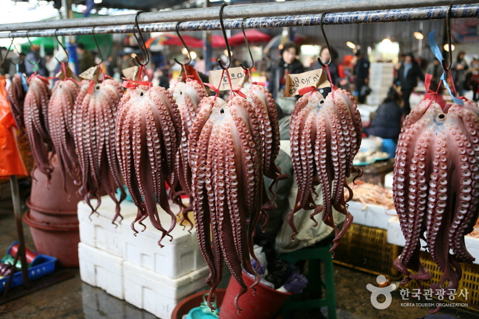Jukdo Market (포항 죽도시장)