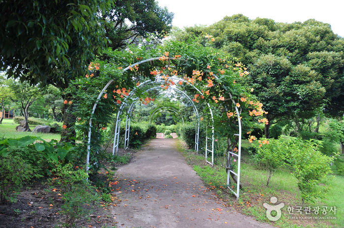 Jardín Botánico Yeomiji (여미지식물원)