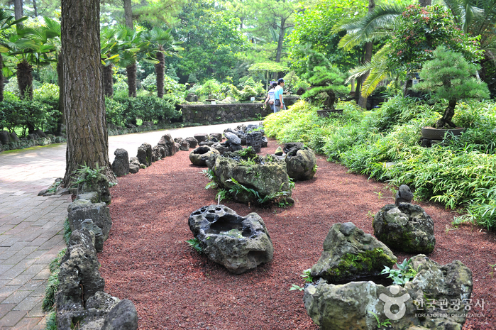 Hallim Park (한림공원)