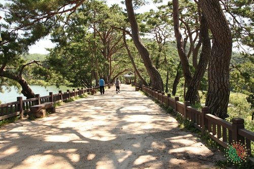Uirimji Reservoir (제천 의림지와 제림)