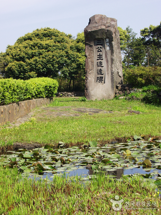 Honinji Pond (혼인지)