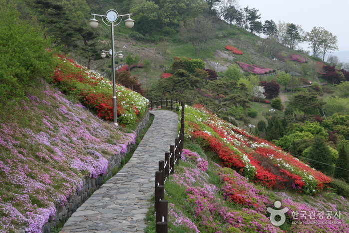 산책로와 꽃밭