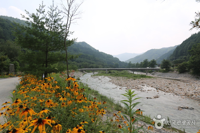 올리브그린펜션3