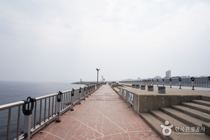 대포항 사진12