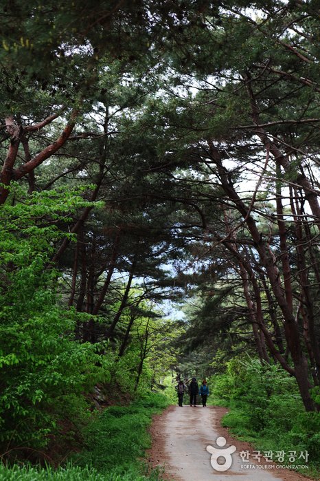 [Jirisan Trail Course] Inwol-Geumgye