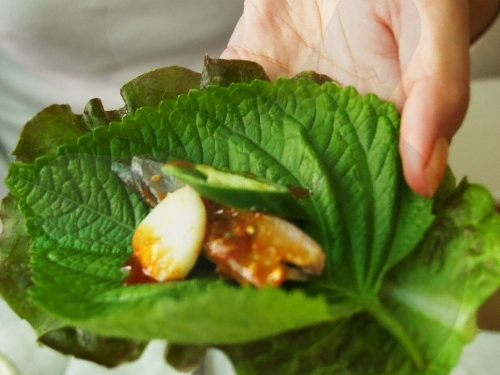 전어회는 뼈째 두툼하게 썰어 고소한 된장에 찍어 상추쌈을 싸먹는것이 더 맛깔스럽다