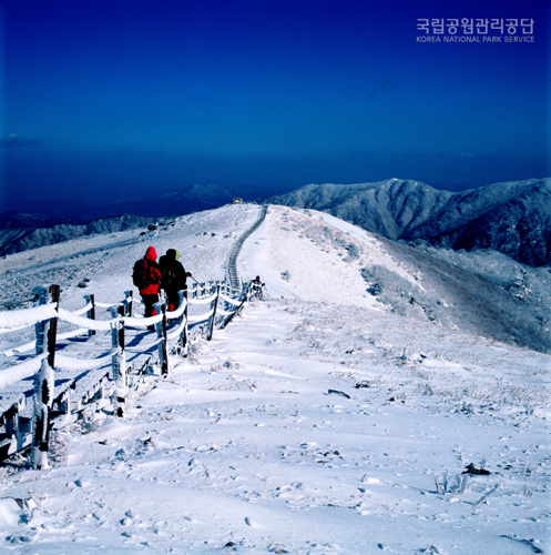 소백산 이미지